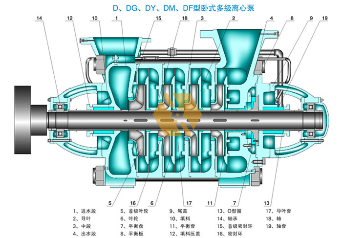 D型多級泵結構圖宏力結構圖