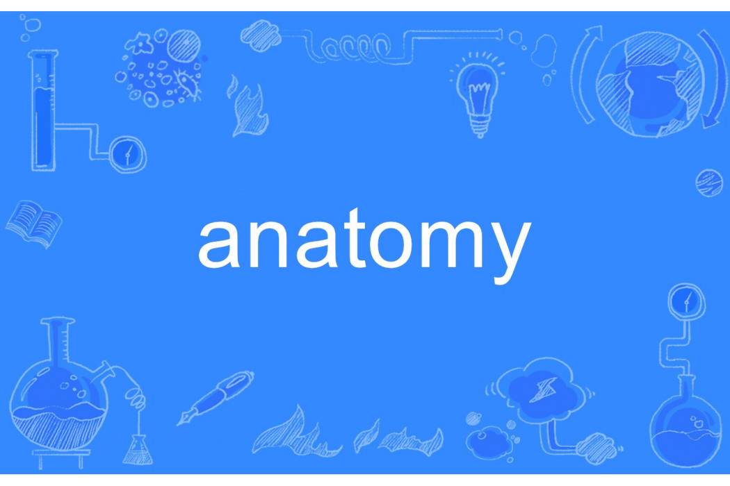 anatomy anatomy