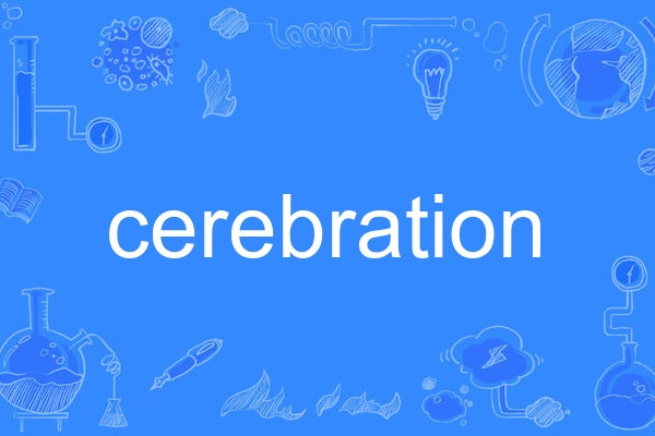 cerebration cerebration