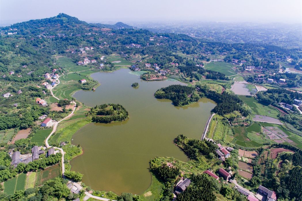 九龍湖(四川省自貢市富順縣兜山鎮境內的一座湖泊) 九龍湖(四川省自貢市富順縣兜山鎮境內的一座湖泊)