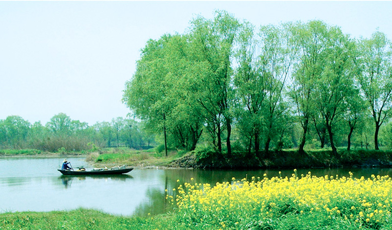 西湖區(杭州市西湖區)