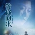 等你回來(霍耀良執導電影) 等你回來(霍耀良執導電影)