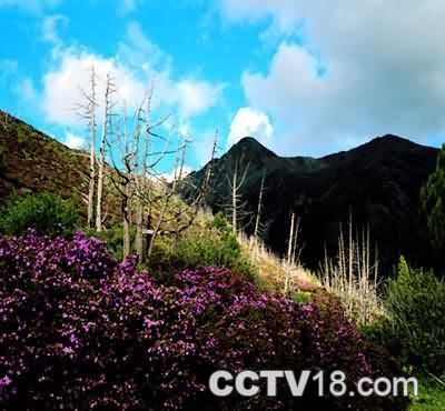 馬熊溝 馬熊溝