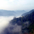 福建梅花山國家級自然保護區(梅花山國家自然保護區)