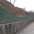 護坡袋 護坡袋