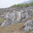 溶溝田 溶溝田