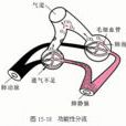 肺泡通氣量 肺泡通氣量