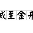 誠至金開 誠至金開
