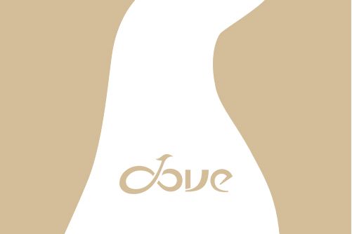 DOVE(廣州吉他品牌) DOVE(廣州吉他品牌)