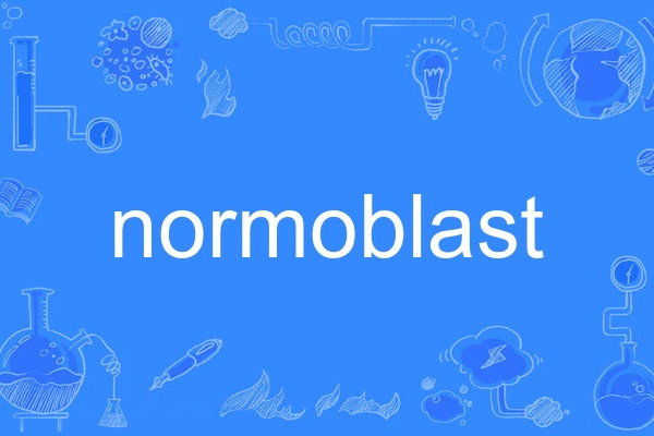 normoblast normoblast