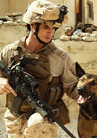 軍犬麥克斯