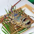 花龍蝦 花龍蝦