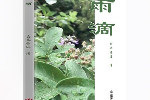 雨滴(王厚皋著作的作品) 雨滴(王厚皋著作的作品)