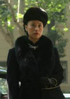 桃花運(2008年馬儷文執導電影)