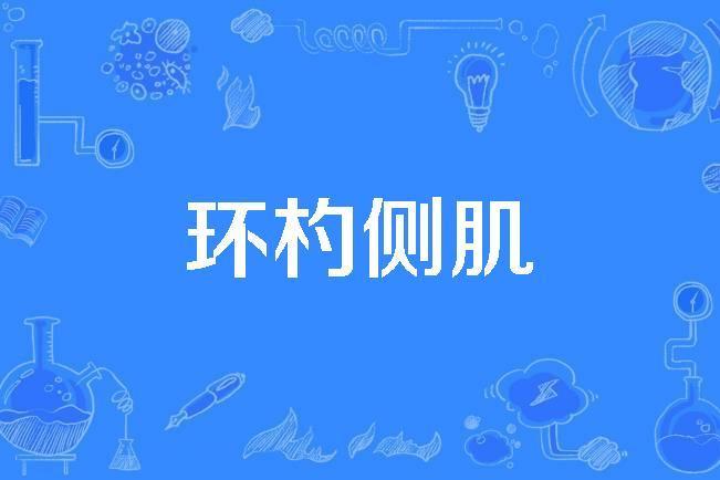 環杓側肌 環杓側肌