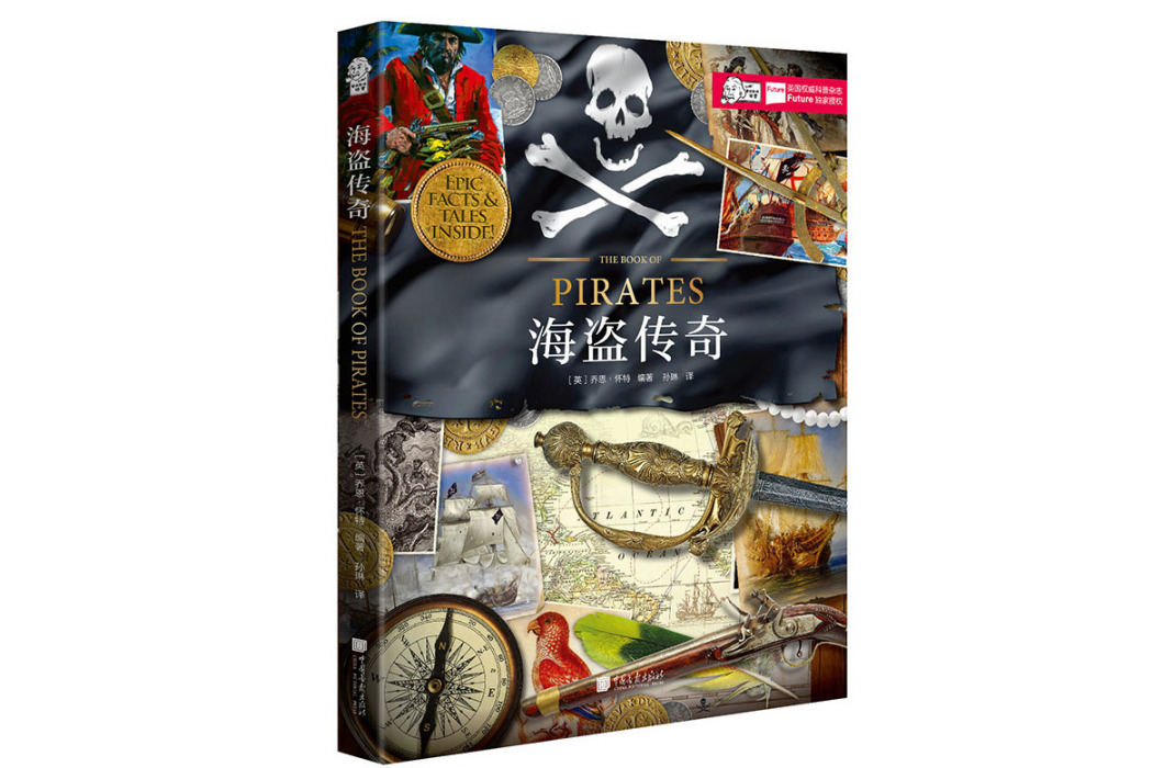 海盜傳奇(2018年中國畫報出版社出版的圖書) 海盜傳奇(2018年中國畫報出版社出版的圖書)