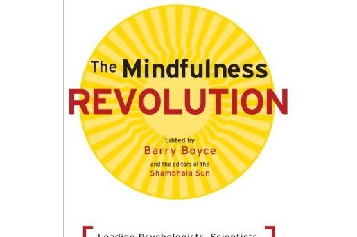 The Mindfulness Revolution The Mindfulness Revolution