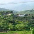 涵洞村(雲南省紅河州老勐鄉涵洞村) 涵洞村(雲南省紅河州老勐鄉涵洞村)