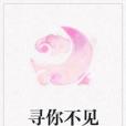 尋你不見 尋你不見
