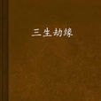 三生劫緣
