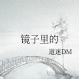 鏡子裡的 鏡子裡的
