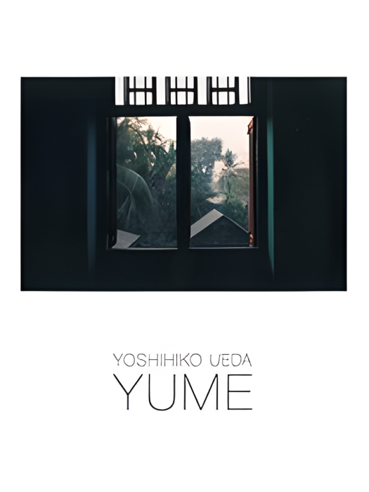 YUME(上田義彥創作的緬甸修道院主題攝影集) YUME(上田義彥創作的緬甸修道院主題攝影集)