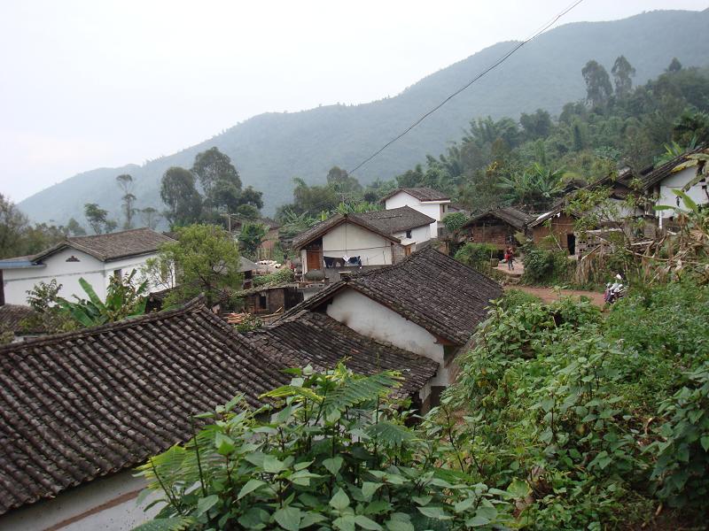 董門香村 董門香村