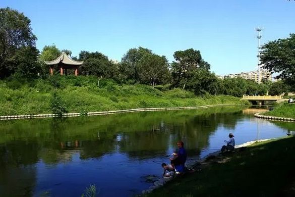 大東公園 大東公園