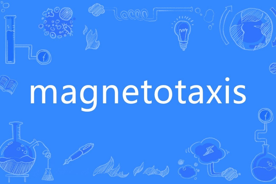 magnetotaxis magnetotaxis