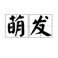 萌發 萌發
