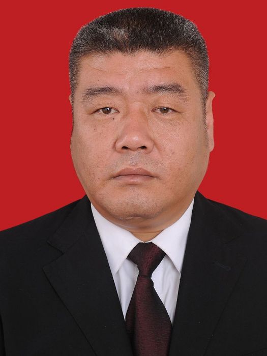 杜飛(榆林市榆陽區文化和旅遊文物廣電局黨組書記) 杜飛(榆林市榆陽區文化和旅遊文物廣電局黨組書記)
