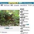 小穴 小穴