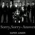 Sorry Sorry Answer Sorry Sorry Answer