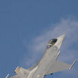 F-16戰鬥機(F-16“戰隼”戰鬥機)