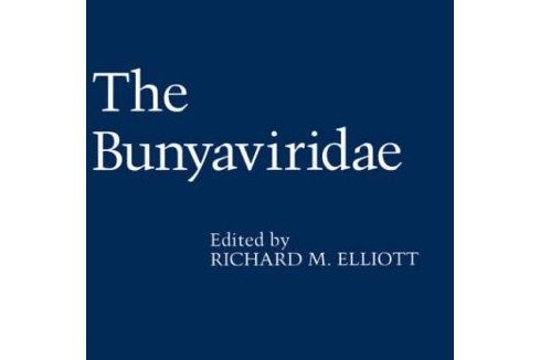 The Bunyaviridae The Bunyaviridae
