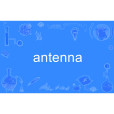 antenna antenna