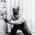 龍形拳 龍形拳