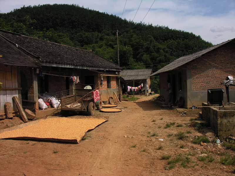 安麻老寨村 安麻老寨村