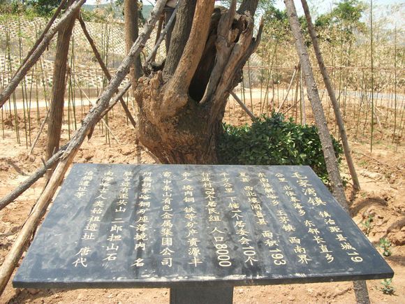 毛家灣鎮 毛家灣鎮
