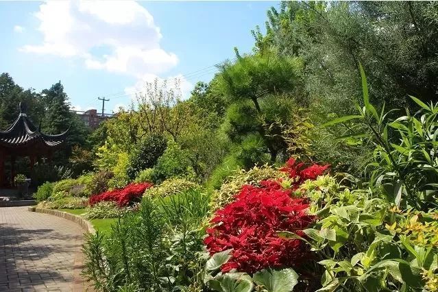 梅川公園 梅川公園