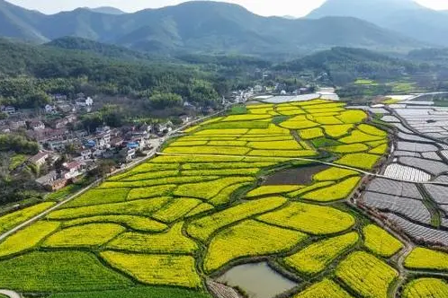 祁梅村 祁梅村