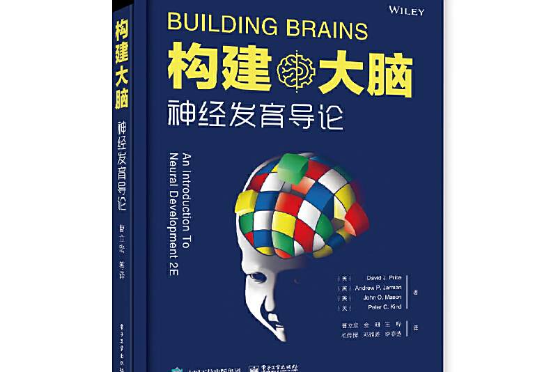 構建大腦 構建大腦