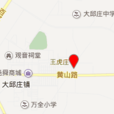 王虎莊村(天津靜海縣大邱莊鎮下轄村) 王虎莊村(天津靜海縣大邱莊鎮下轄村)