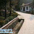 麂子渡村 麂子渡村