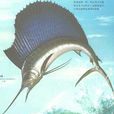 帆旗魚