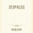 靈夢輪迴 靈夢輪迴