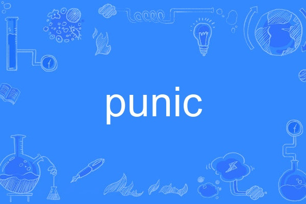 punic punic