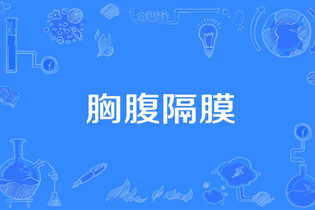 胸腹隔膜 胸腹隔膜
