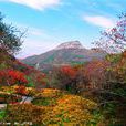 紅葉谷(吉林長白山景點) 紅葉谷(吉林長白山景點)