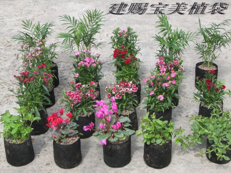 美植袋(種植袋) 美植袋(種植袋)